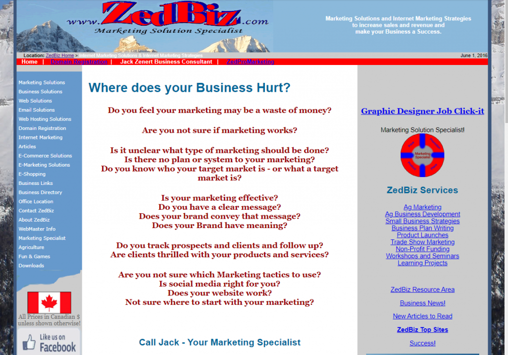ZedBiz website with mountains